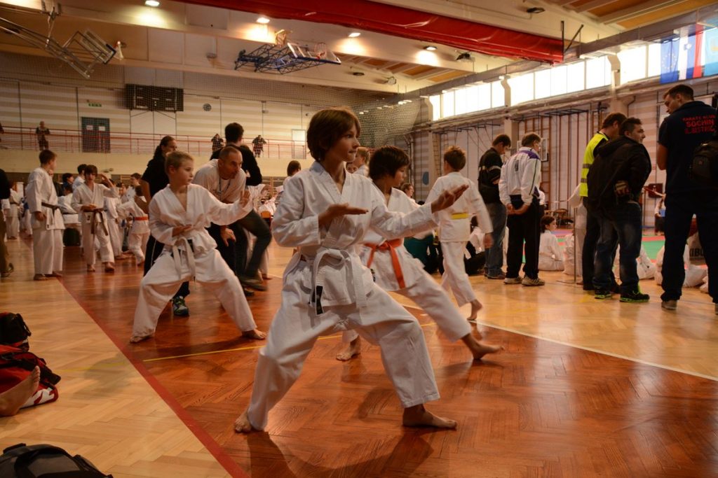 Karate turnir Ilir. Bistrica 1.12.2013