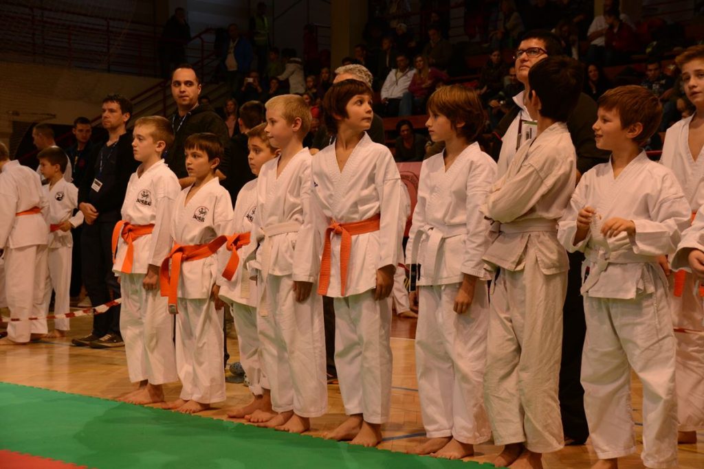 Karate turnir Ilir. Bistrica 1.12.2013