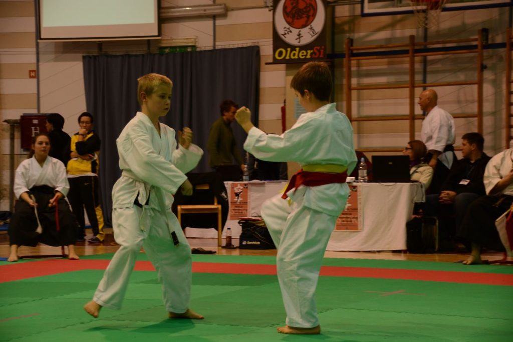 Karate turnir Ilir. Bistrica 1.12.2013