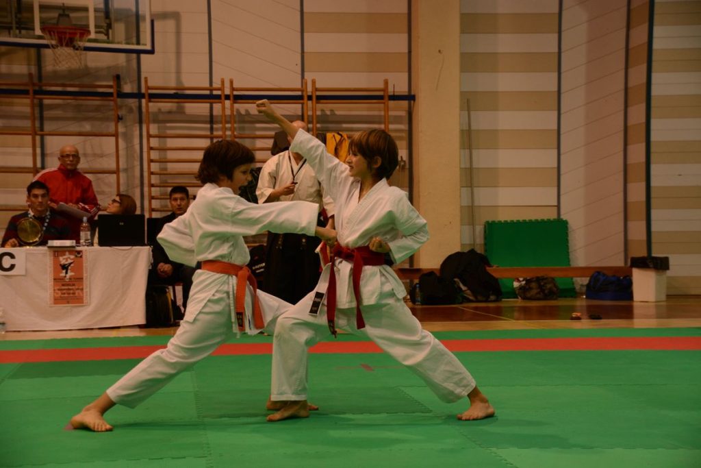 Karate turnir Ilir. Bistrica 1.12.2013