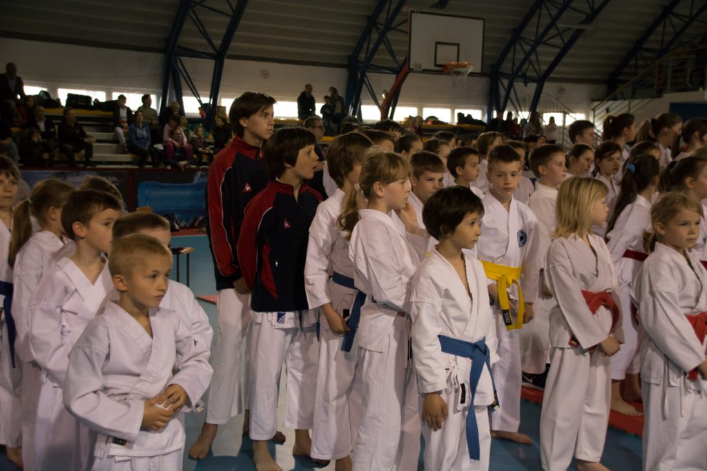 Karate turnir ŠZL 19.4.2014