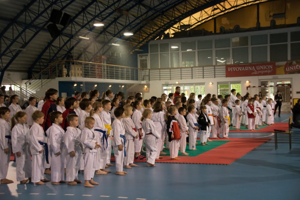 Karate turnir ŠZL 19.4.2014