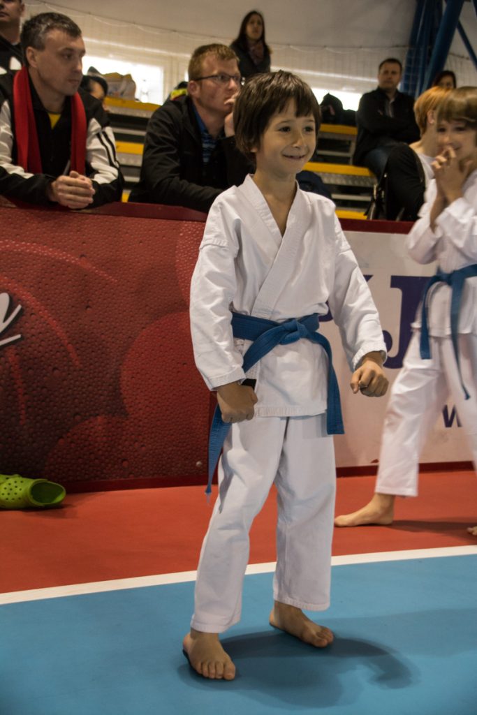 Karate turnir ŠZL 19.4.2014