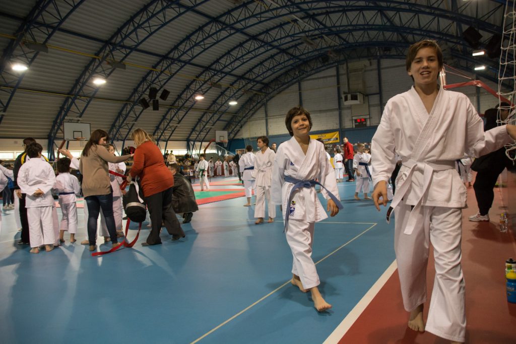 Karate turnir ŠZL 19.4.2014