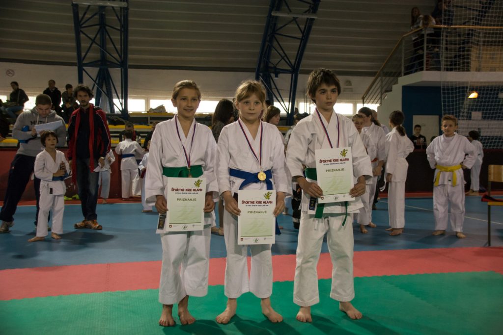Karate turnir ŠZL 19.4.2014