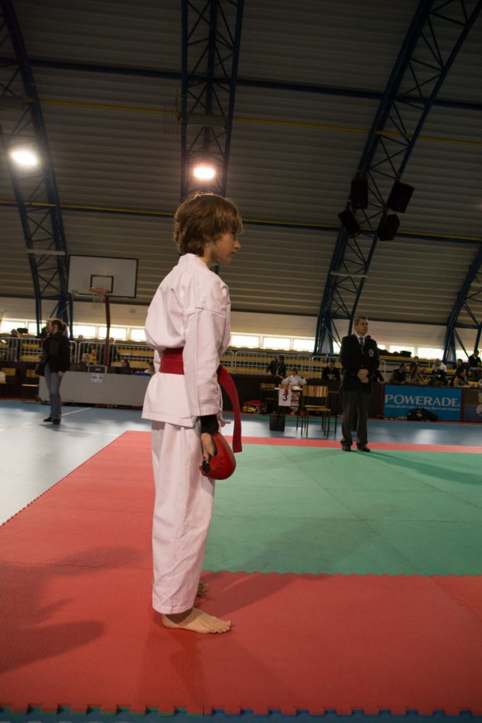 Karate turnir ŠZL 19.4.2014