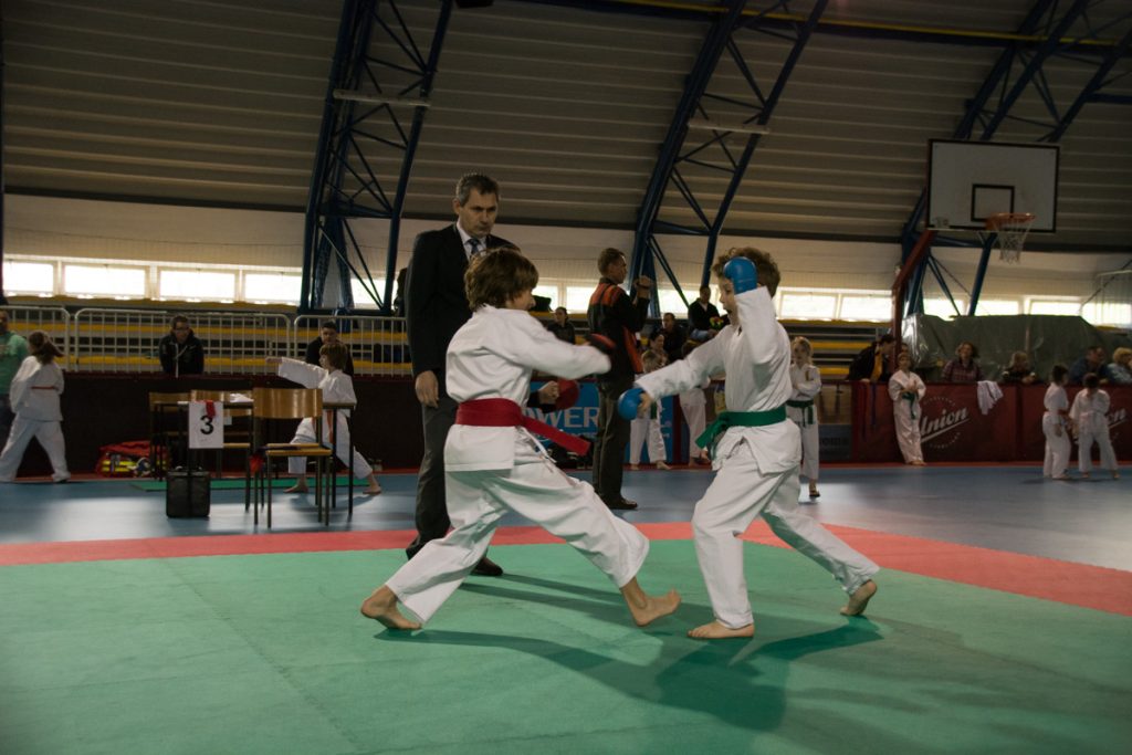 Karate turnir ŠZL 19.4.2014