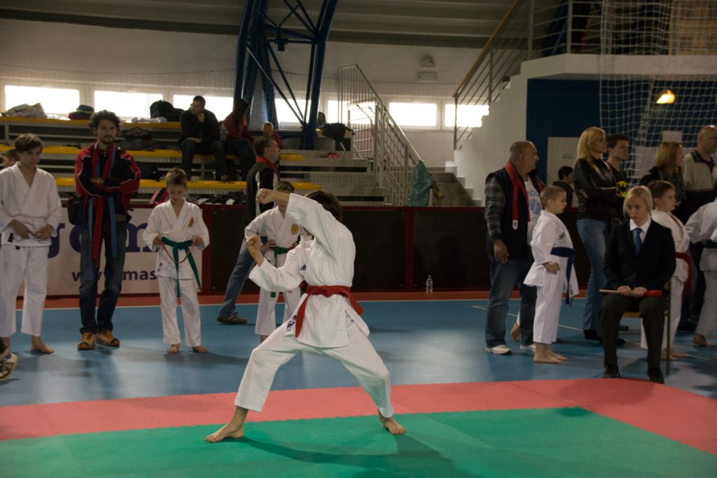 Karate turnir ŠZL 19.4.2014