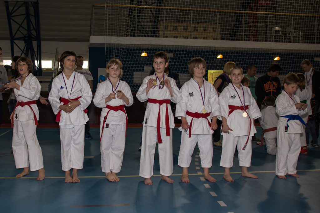 Karate turnir ŠZL 19.4.2014