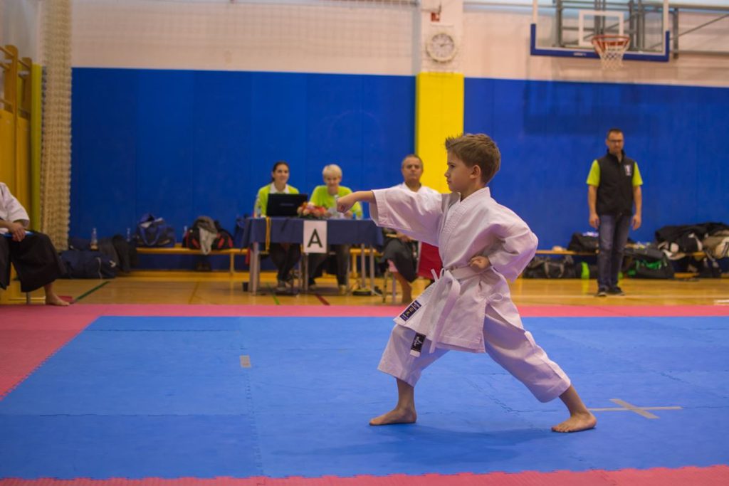 Karate turnir Žirovnica 9.11.2014