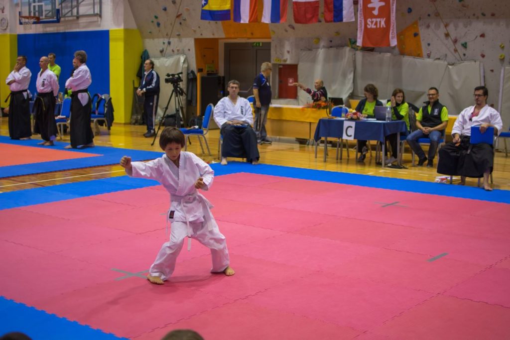 Karate turnir Žirovnica 9.11.2014