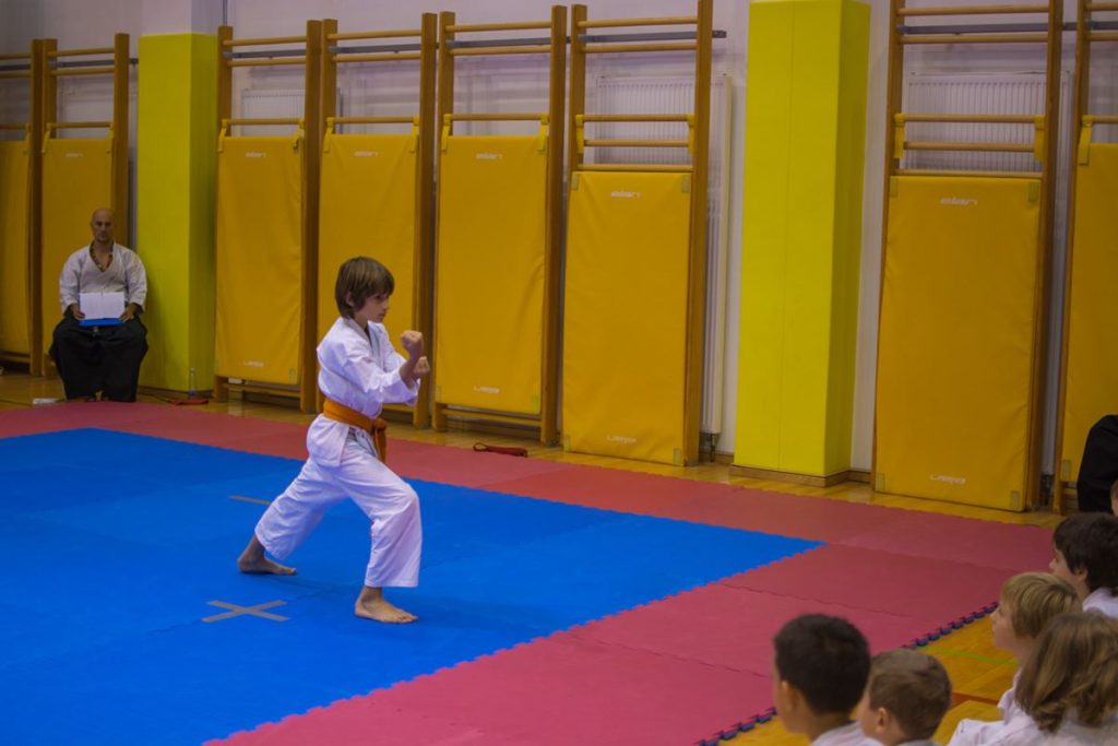 Karate turnir Žirovnica 9.11.2014