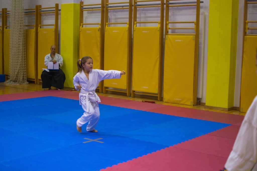 Karate turnir Žirovnica 9.11.2014