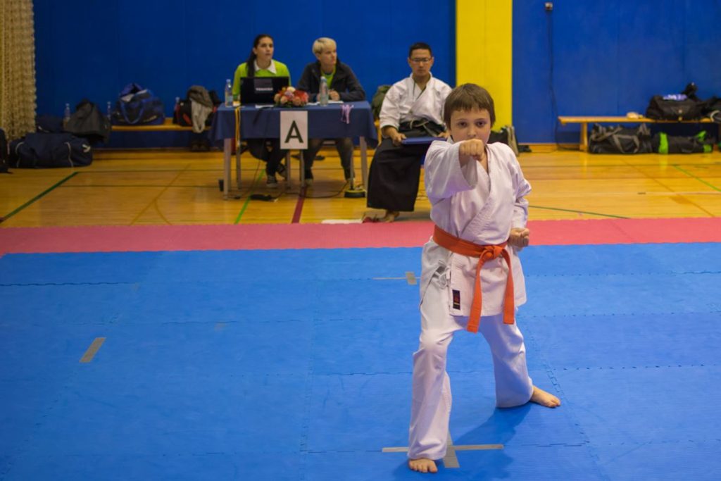 Karate turnir Žirovnica 9.11.2014