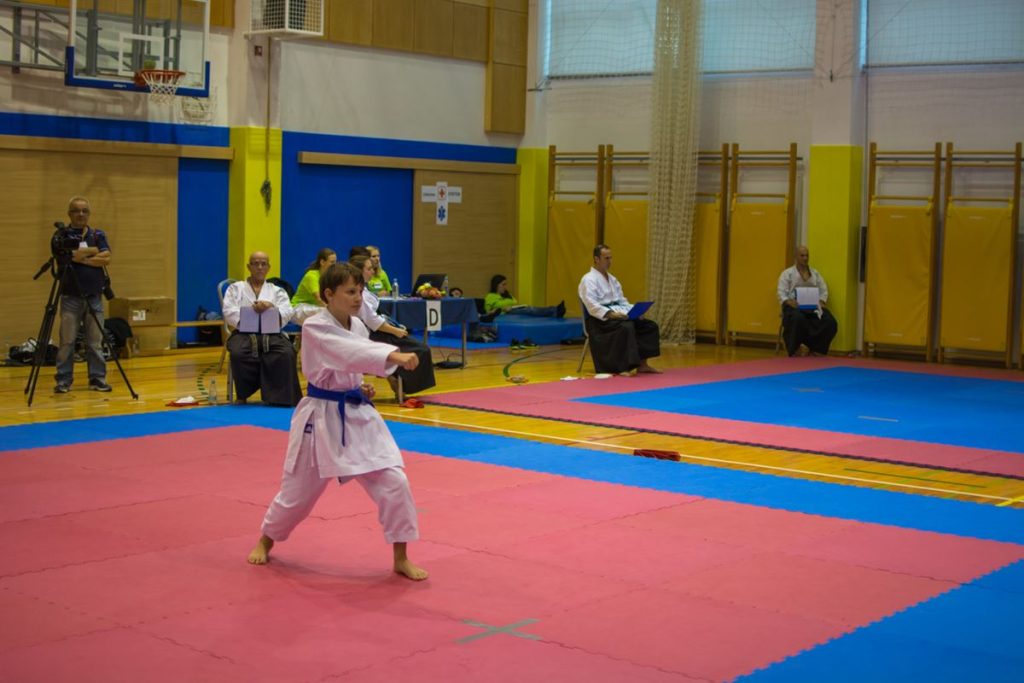 Karate turnir Žirovnica 9.11.2014