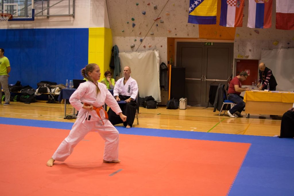Karate turnir Žirovnica 9.11.2014