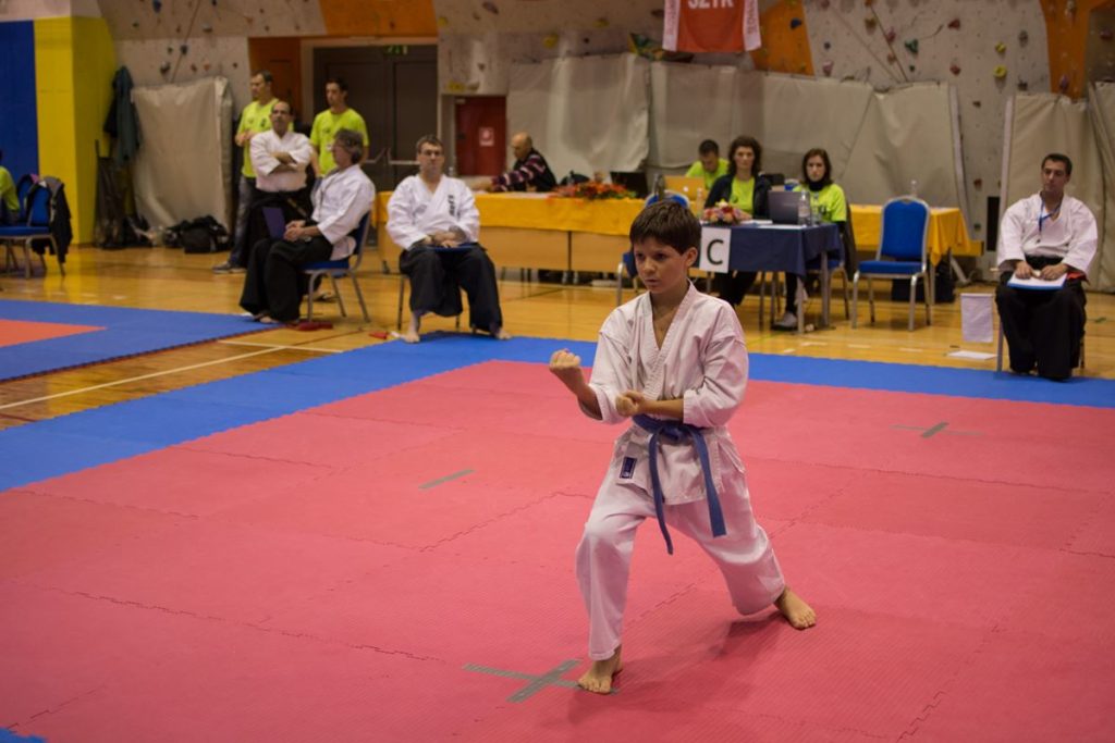 Karate turnir Žirovnica 9.11.2014