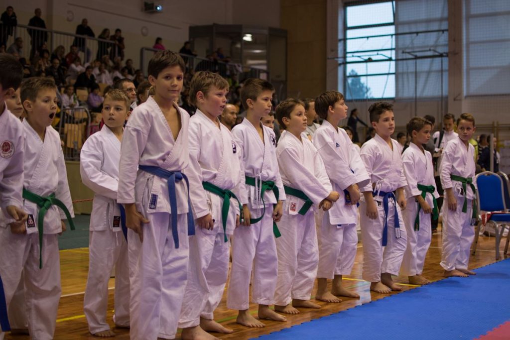 Karate turnir Žirovnica 9.11.2014