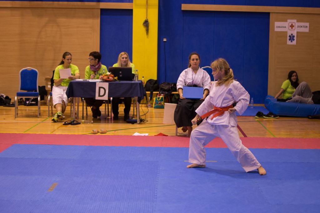 Karate turnir Žirovnica 9.11.2014