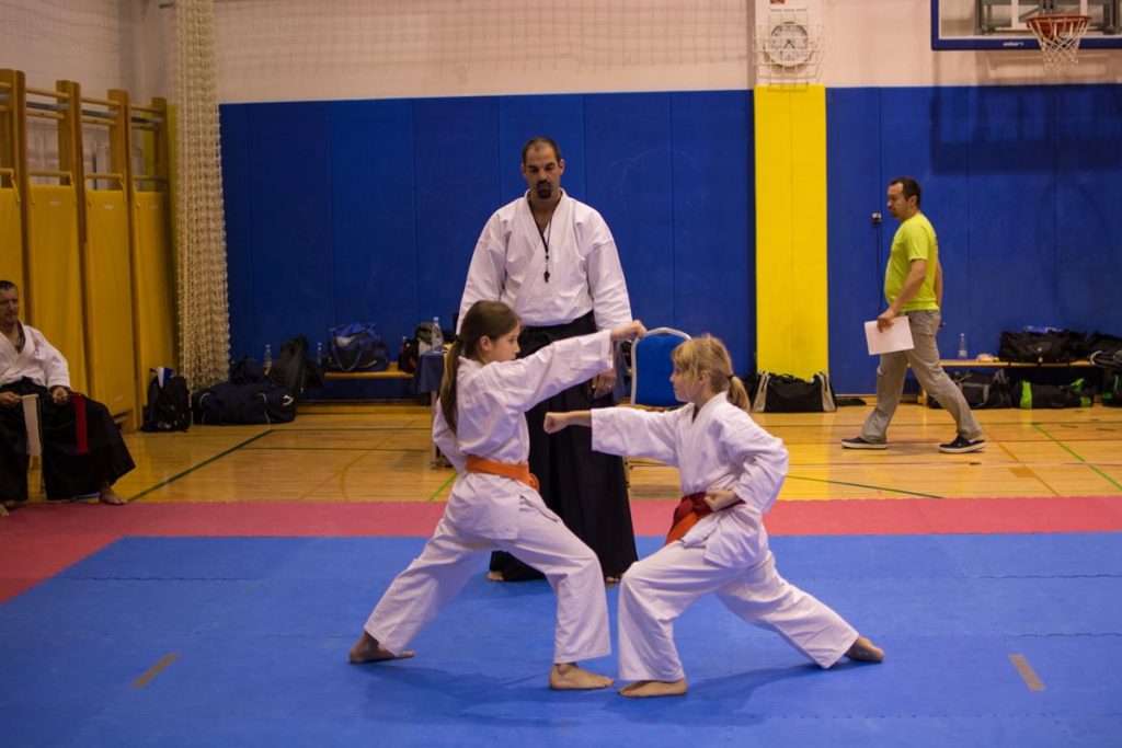 Karate turnir Žirovnica 9.11.2014
