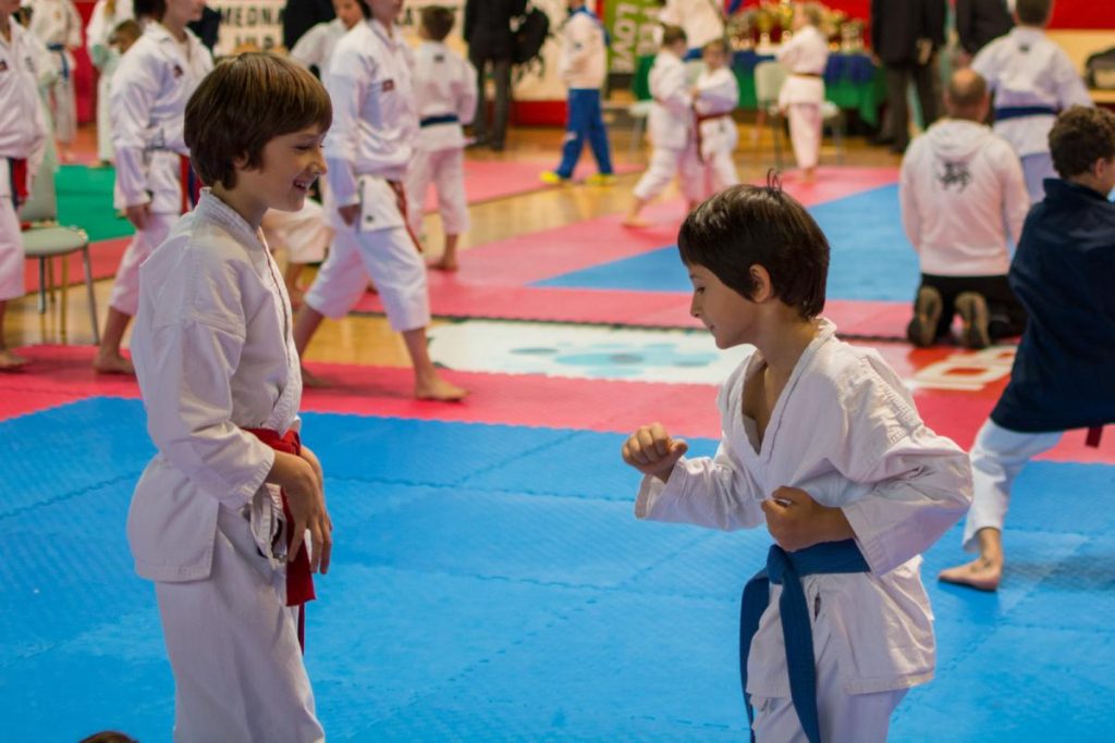 Karate Ljubljana Open 22.11.2014