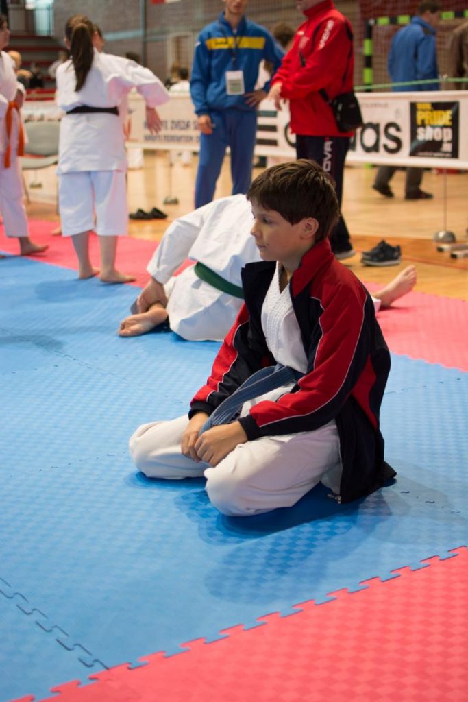 Karate Ljubljana Open 22.11.2014