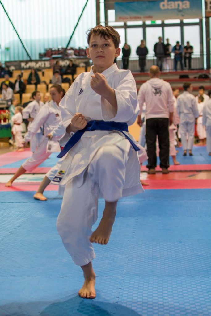 Karate Ljubljana Open 22.11.2014