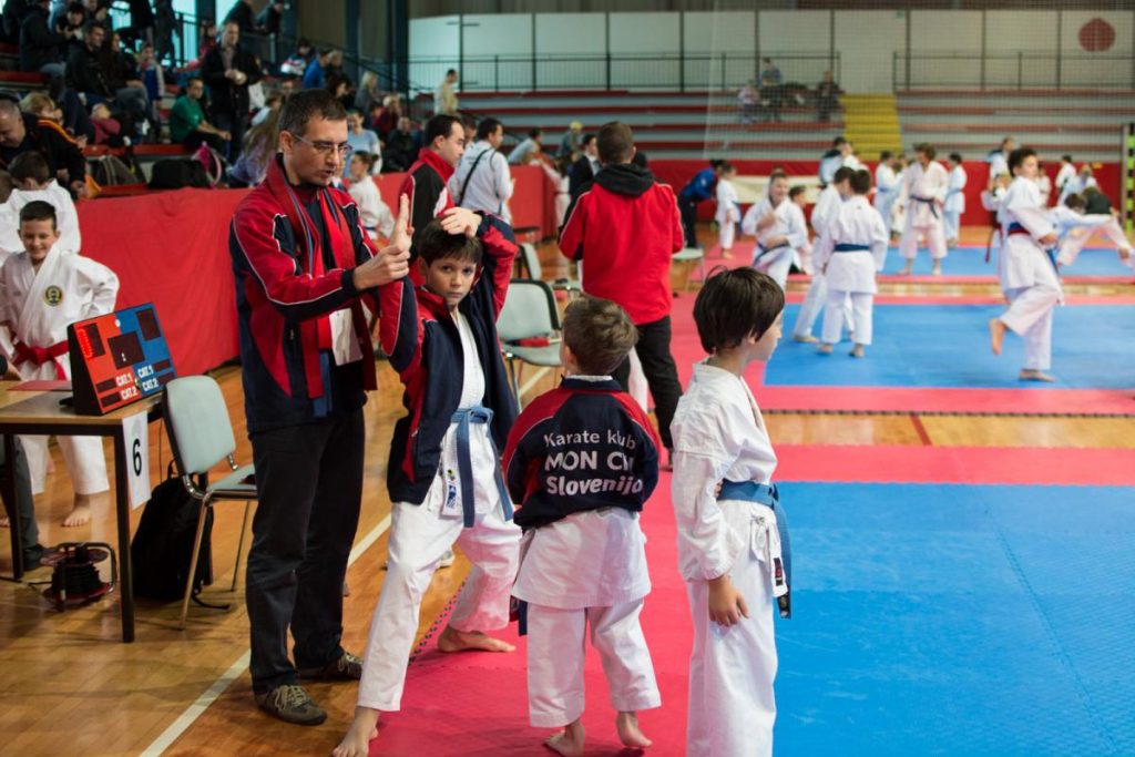 Karate Ljubljana Open 22.11.2014