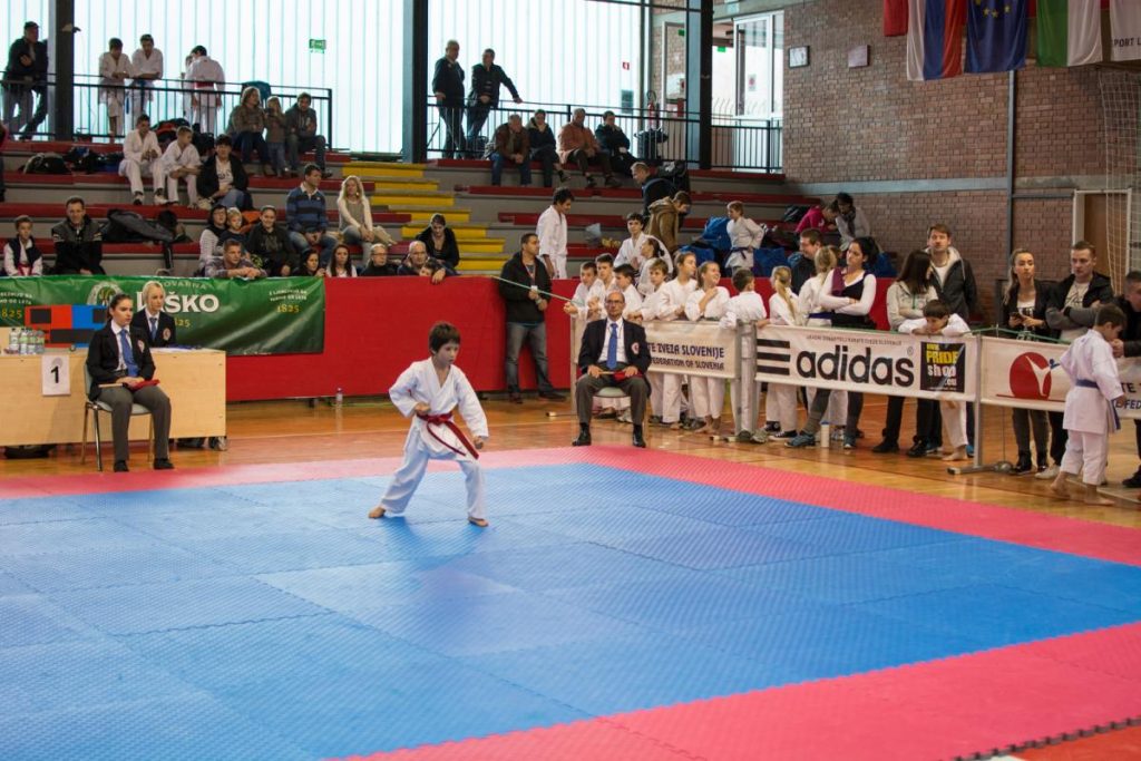 Karate Ljubljana Open 22.11.2014