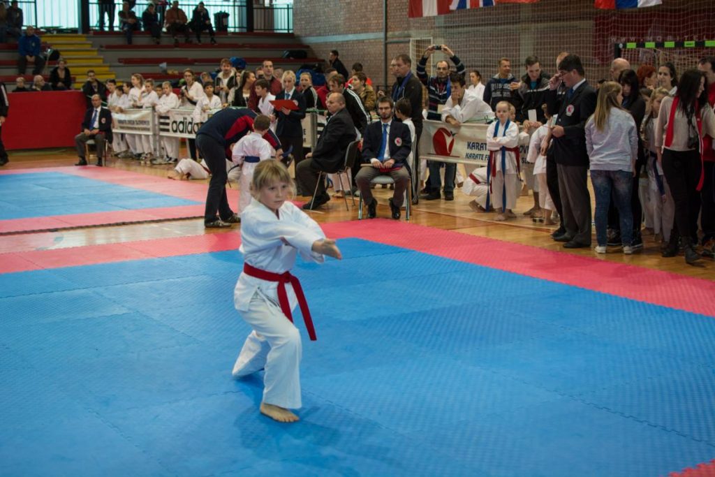 Karate Ljubljana Open 22.11.2014