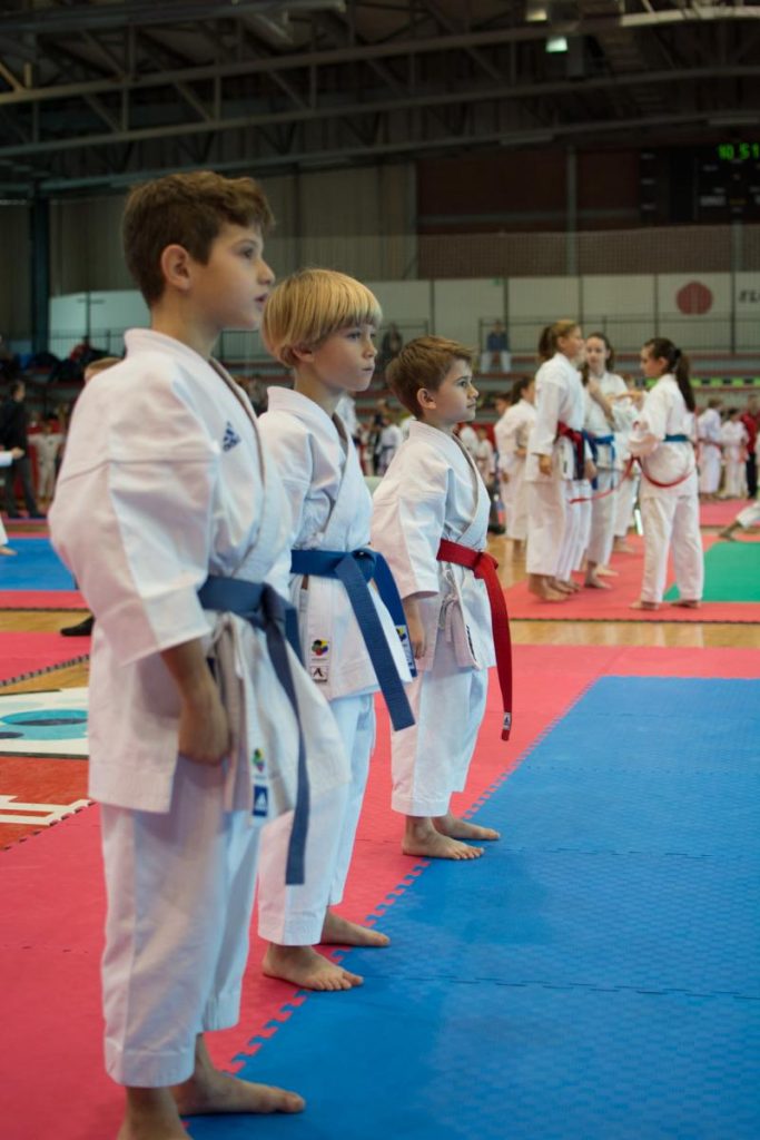 Karate Ljubljana Open 22.11.2014