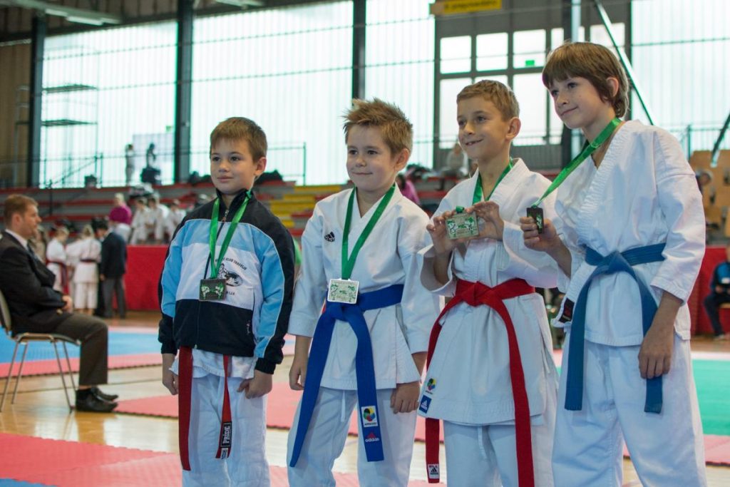 Karate Ljubljana Open 22.11.2014