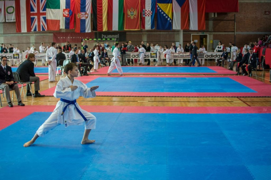 Karate Ljubljana Open 22.11.2014