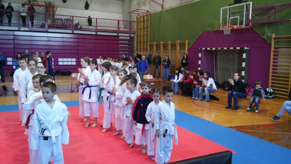 Šolska liga - Postojna 28.3.2015