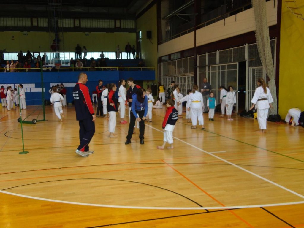 Mednarodni turnir TOLMIN 22.3.15