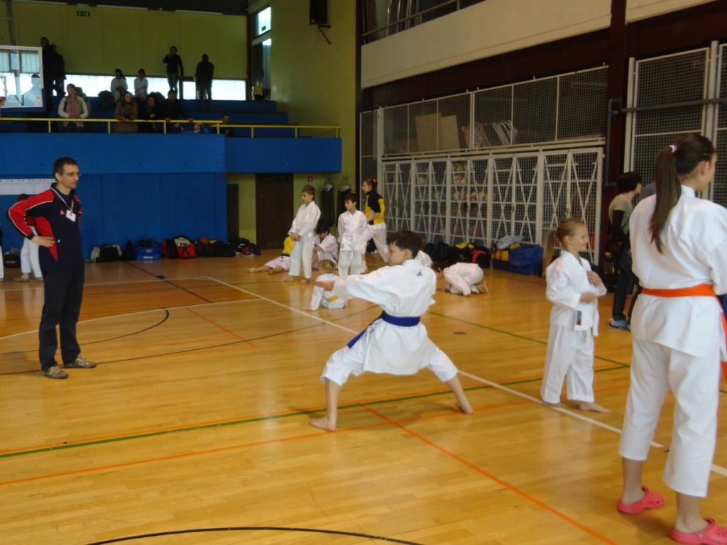 Mednarodni turnir TOLMIN 22.3.15