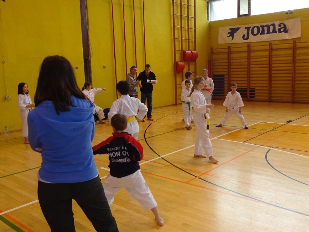 Mednarodni turnir TOLMIN 22.3.15