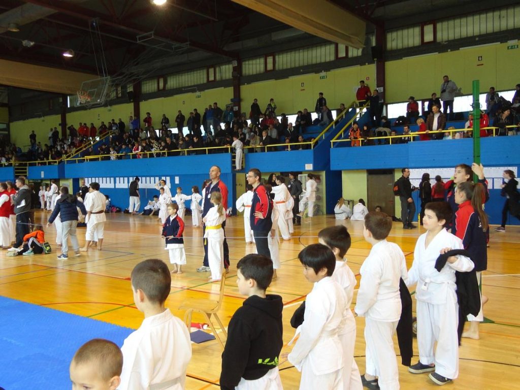 Mednarodni turnir TOLMIN 22.3.15