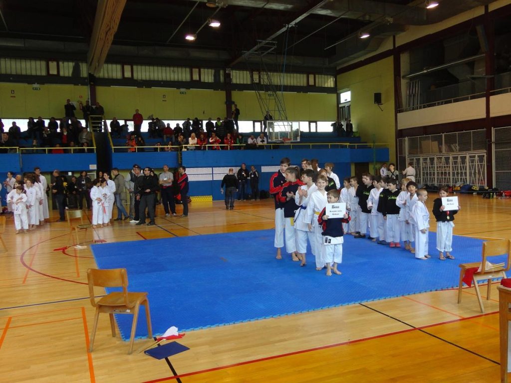 Mednarodni turnir TOLMIN 22.3.15