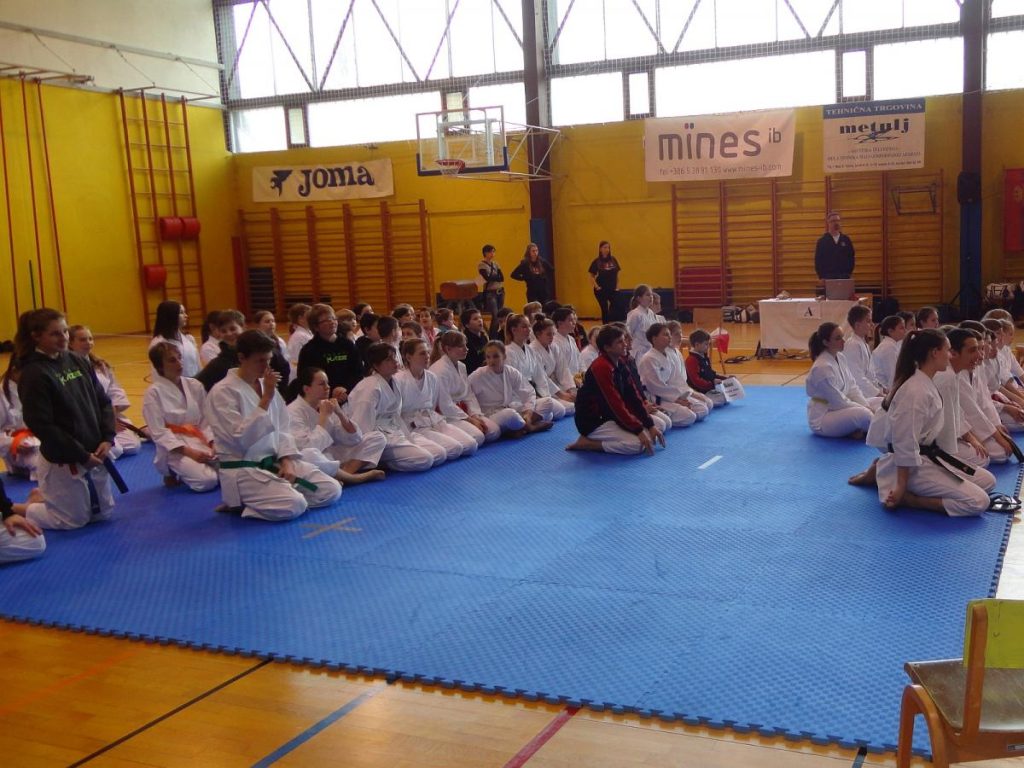 Mednarodni turnir TOLMIN 22.3.15