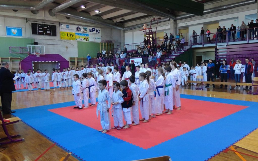 Šolska liga - Postojna 28.3.2015