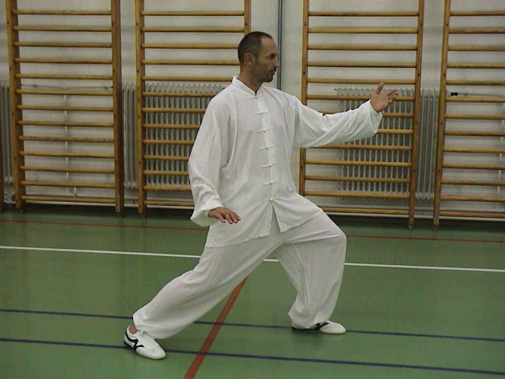 Tai chi chuan