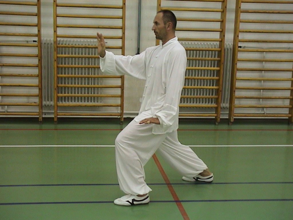 Tai chi chuan