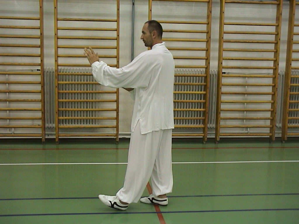 Tai chi chuan