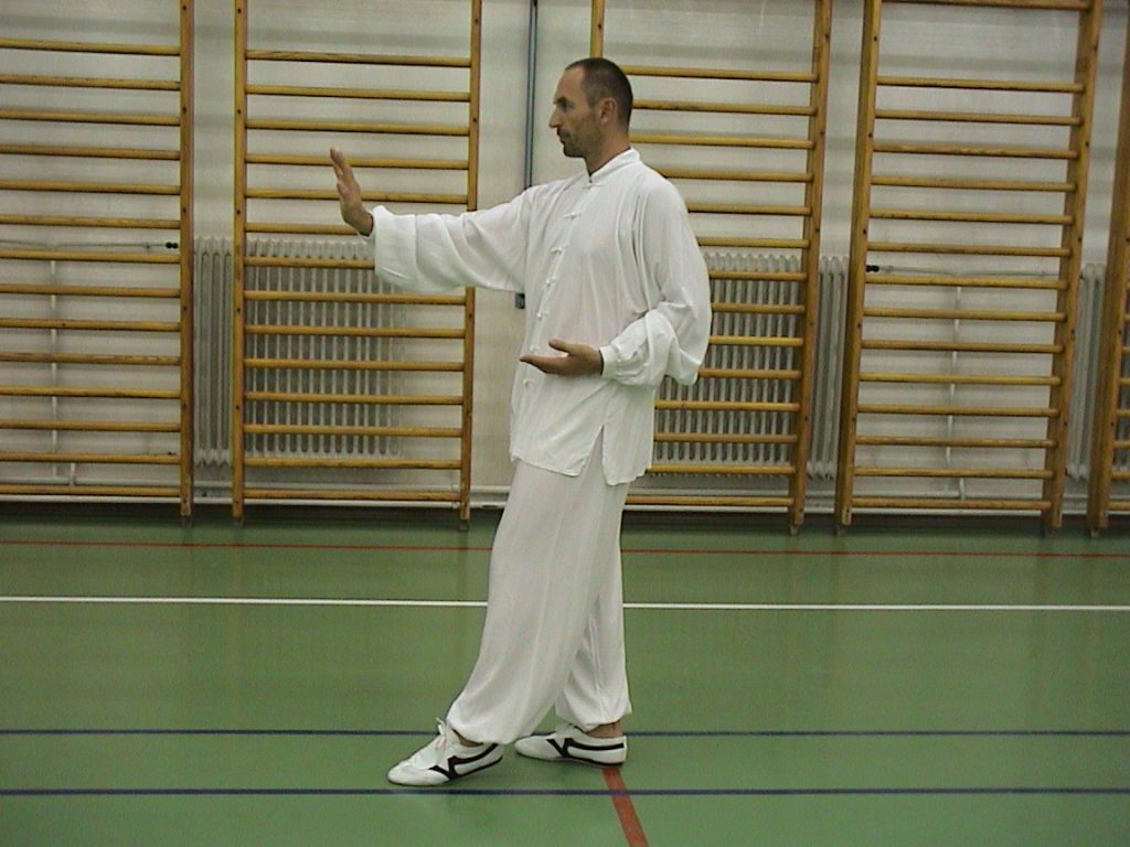 Tai chi chuan
