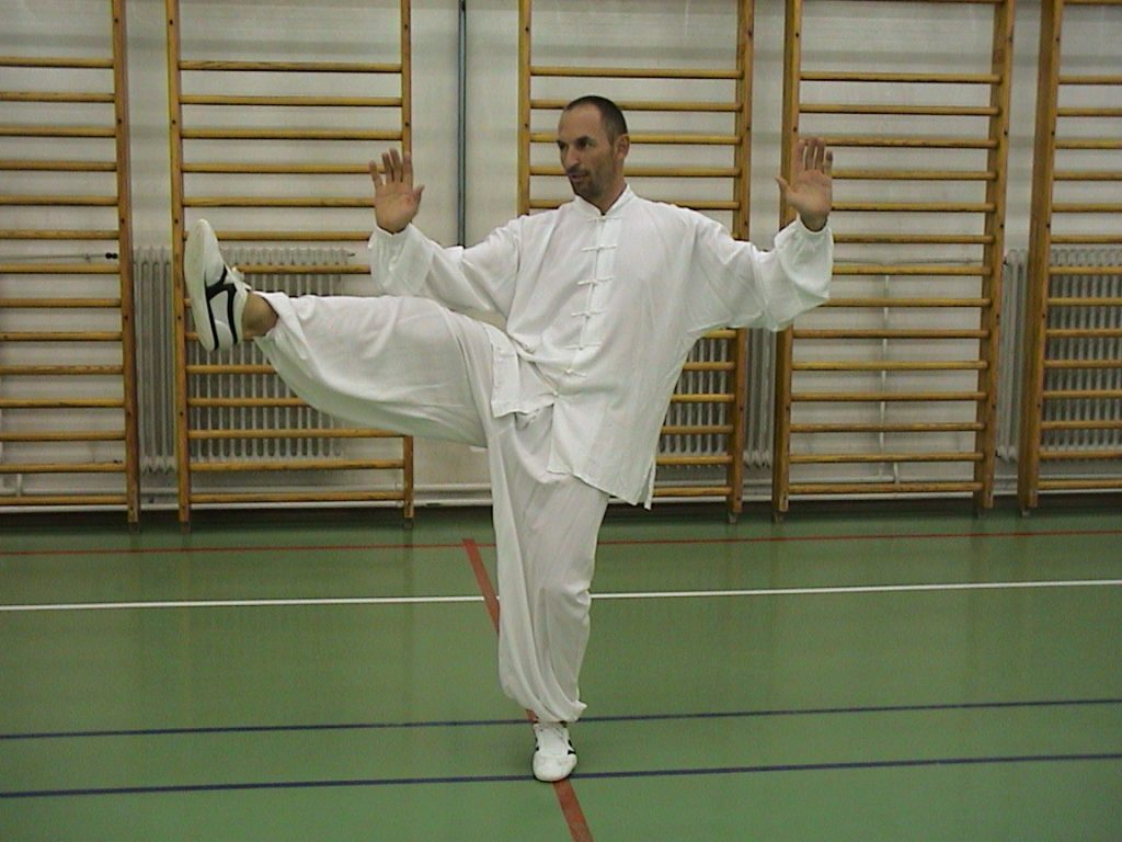 Tai chi chuan