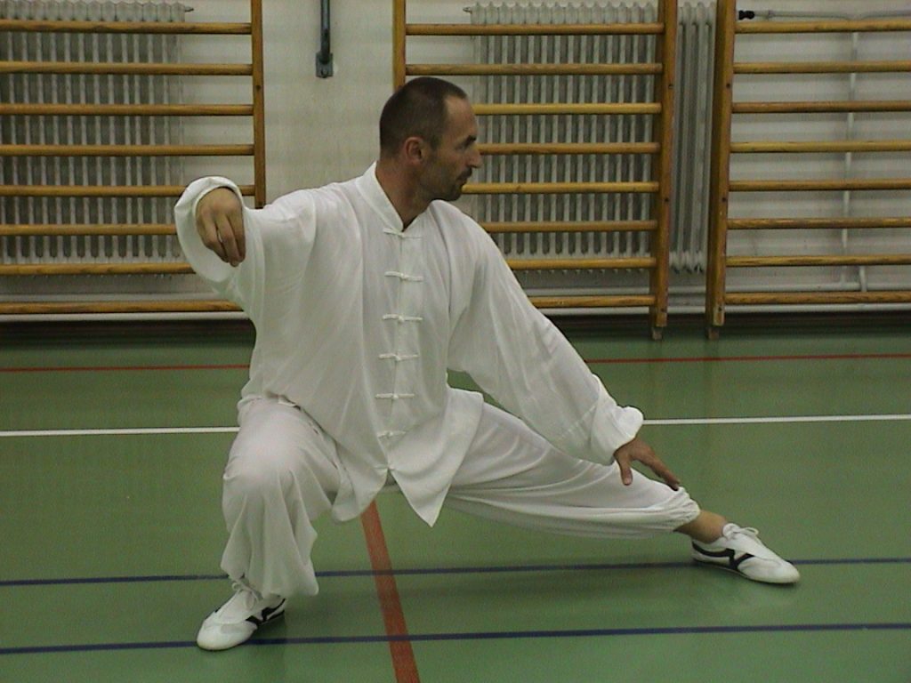 Tai chi chuan