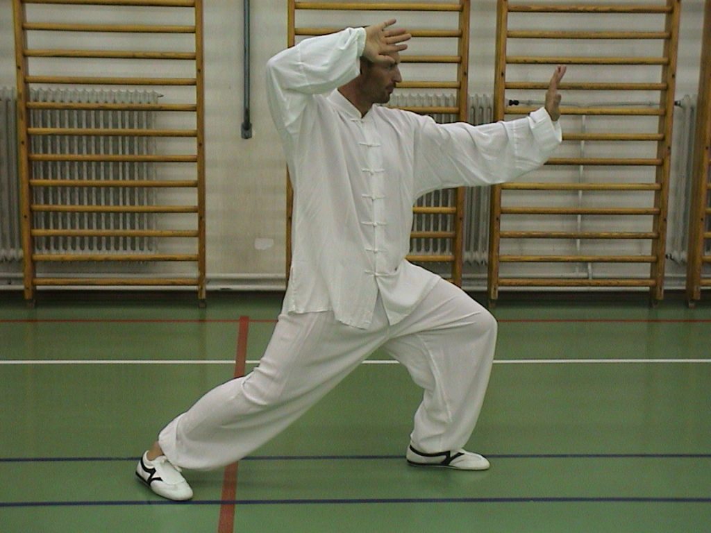 Tai chi chuan